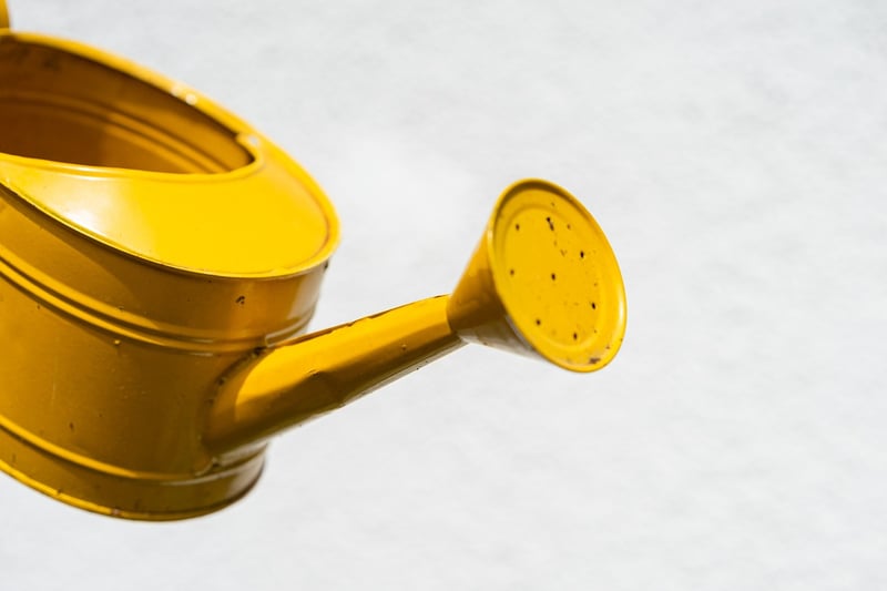 Magical watering cans