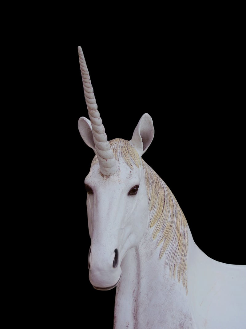 Unicorn allies